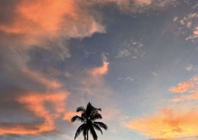 Sunset sky with orange clouds over palm and mountains
